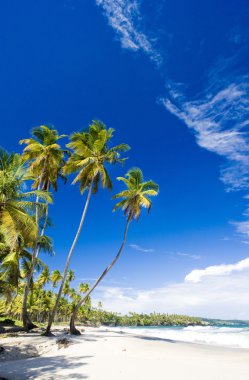 Cumana Bay, Trinidad