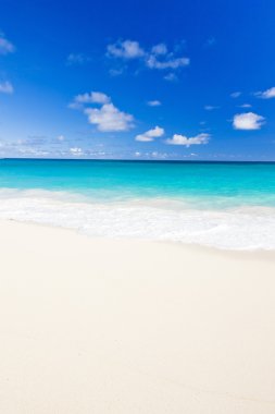 Bay, barbados, Karayipler faul