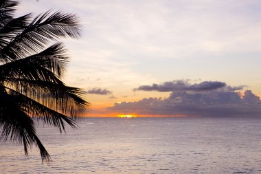 günbatımı yere denizinde, turtle beach, tobago