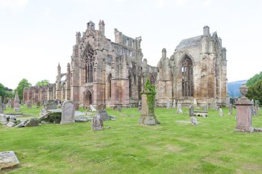 harabe, melrose abbey, scottish borders, İskoçya