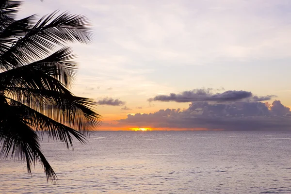 Coucher de soleil sur la mer des Caraïbes, Turtle Beach, Tobago — Photo