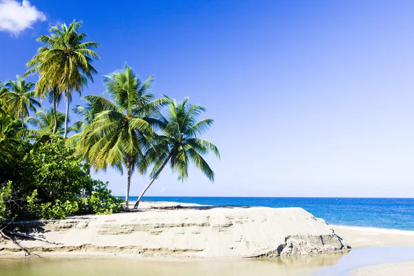 Foul Bay, Barbados, Caribe — Fotografia de Stock