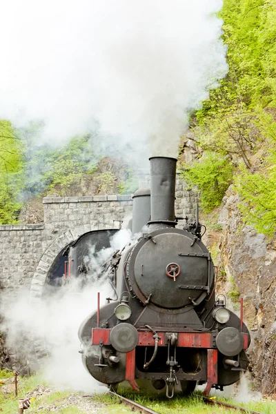 Stoom locomotief (126.014), resavica, Servië — Stockfoto