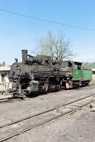 Locomotiva a vapor, ponto de entrega em Oskova, Bósnia e Hercegovi — Fotografia de Stock