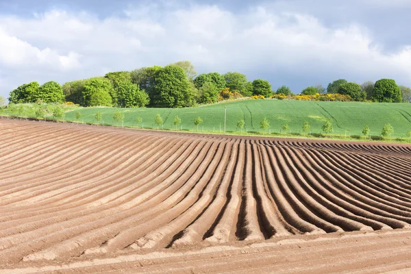 Paisagem com campo, Fife, Escócia — Fotografia de Stock