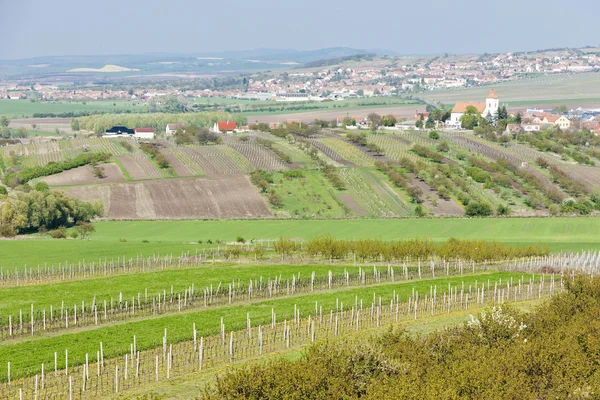 Vue depuis la tour de guet de Kravi hora près de Boretice, République tchèque — Photo