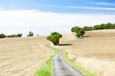 alan bir yol, gers departmanı, Fransa