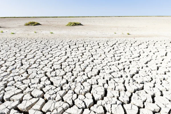 Trockenes land, parc regional de camargue, provence, frankreich — Stockfoto