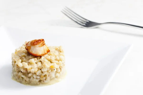 Kızarmış saint jacques yumuşakca pearl arpa risotto ile — Stok fotoğraf