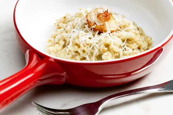 Mollusco fritto Saint Jacques con risotto all'orzo perlato — Foto Stock