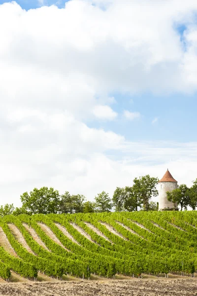 Vineyard with windmill near Ribagnac, Dordogne Department, Aquit — ストック写真