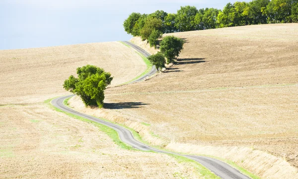 Veld met een road, departement gers, Frankrijk — Stockfoto