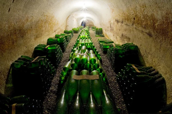 Wijn archief, hort winery, znojmo - dobsice, Tsjechië — Stockfoto