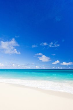 Bay, barbados, Karayipler faul