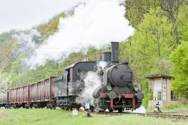 Buhar yük treni (126.014), resavica, Sırbistan