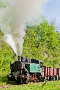 Buhar yük treni, durdevik, Bosna ve Hersek