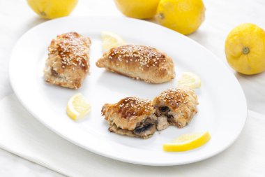 Tuna ile doldurulmuş puf cepler