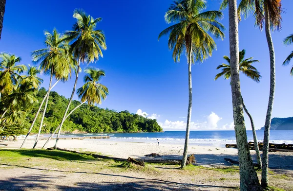 Baía de Maracas, Trinidad — Fotografia de Stock