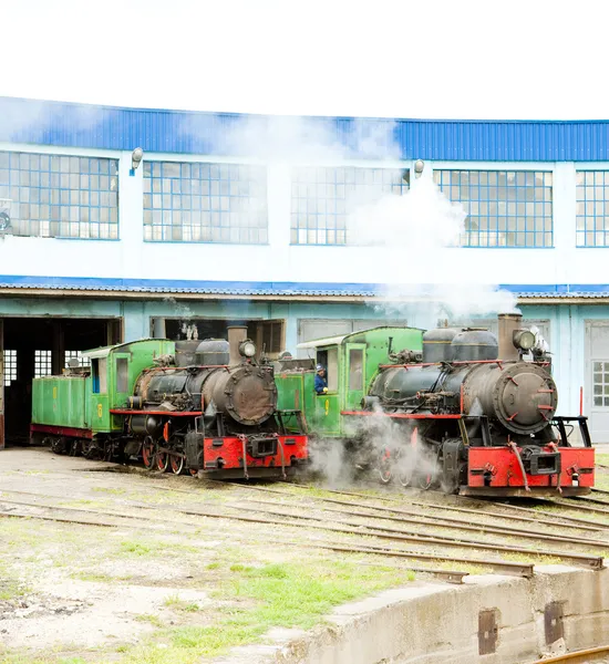 蒸汽机车在油库、 kostolac、 塞尔维亚 — 图库照片