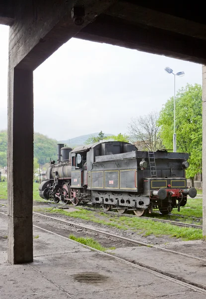 Locomotiva a vapor (126.014), Resavica, Sérvia — Fotografia de Stock