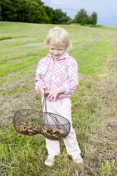 Menina com cesta de cogumelos — Fotografia de Stock