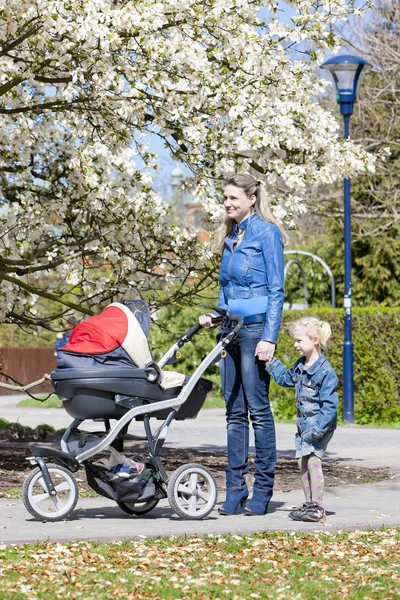 Mãe e sua filha com um carrinho de bebê no passeio de primavera — Fotografia de Stock