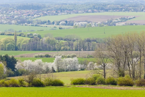 Primavera paisagem, República Checa — Fotografia de Stock