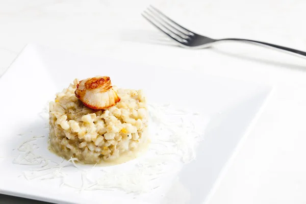 Fried Saint Jacques mollusc with pearl barley risotto — Stock Photo, Image