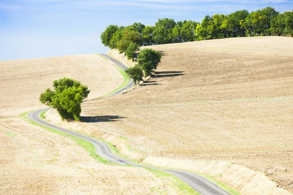 Feld mit einer Straße, Gers Department, Frankreich — Stockfoto