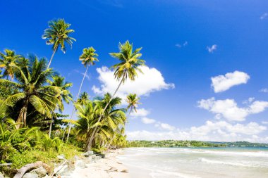 rockly, bay tobago