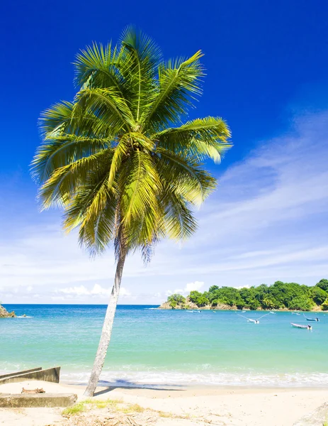 Baía de Parlatuvier, Tobago — Fotografia de Stock