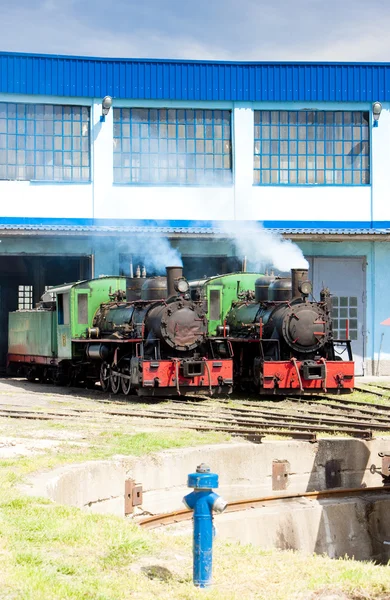 Locomotivas a vapor no depósito, Kostolac, Sérvia — Fotografia de Stock