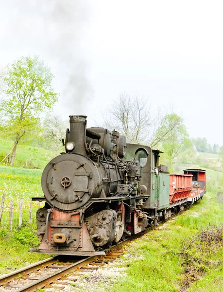 Schmalspurbahn, Banovici, Bosnien und Herzegowina — Stockfoto