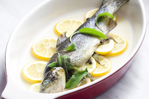 Trout baked on lemon — Stock Photo, Image