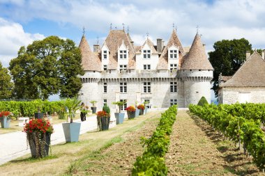 monbazillac kale üzüm, aquitaine, Fransa