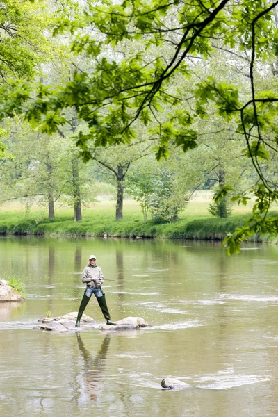 Femeie care pescuiește în râul Sazava, Republica Cehă — Fotografie, imagine de stoc