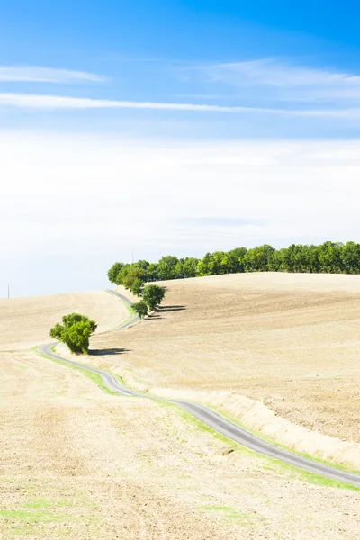 Campo con una carretera, Departamento de Gers, Francia — Foto de Stock
