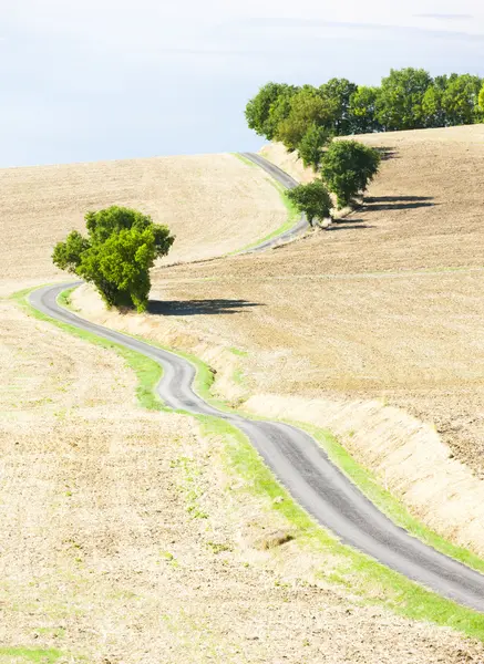Campo com uma estrada, Departamento de Gers, França — Fotografia de Stock