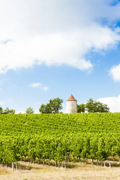 Viñedo con molino de viento cerca de Ribagnac, Departamento de Dordoña, Aquit — Foto de Stock