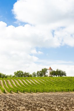 bağ ribagnac, dordogne bölümünde, aquit yakınında yel değirmeni ile