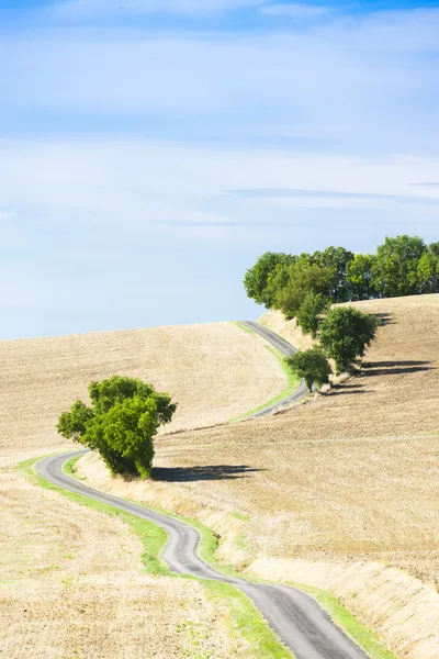 Field with a road, Gers Department, France — Stock Photo, Image
