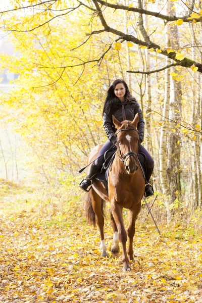 Jezdectví na koních v podzimní přírodě Stock Obrázky