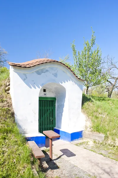 Wine cellar, Petrov - Plze, Czech Republic — Stock Photo, Image