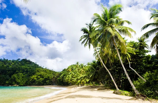 Englishman's Bay, Tobago — Stock Photo, Image