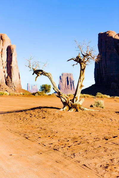 U pencerenin, anıt Vadisi Milli Parkı, utah-arizona — Stok fotoğraf