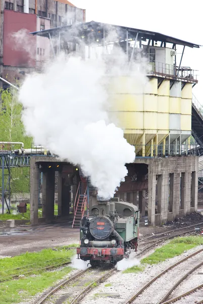 Parní lokomotiva, kolubara, Srbsko — Stock fotografie