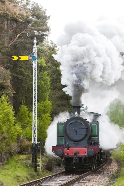 蒸気の鉄道、ストラスペイ鉄道、高地、スコットランド — ストック写真