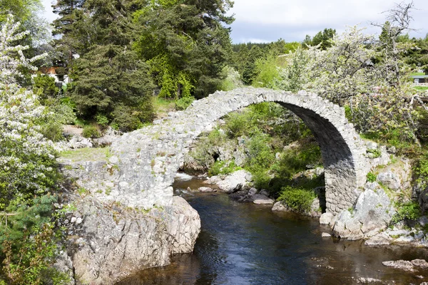 Starý most nákladnímu koni, carrbridge, Vysočina, Skotsko — Stock fotografie