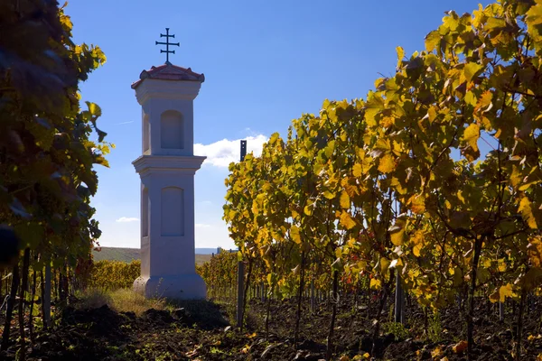 Capela da aldeia com vinha perto de Perna, República Checa — Fotografia de Stock