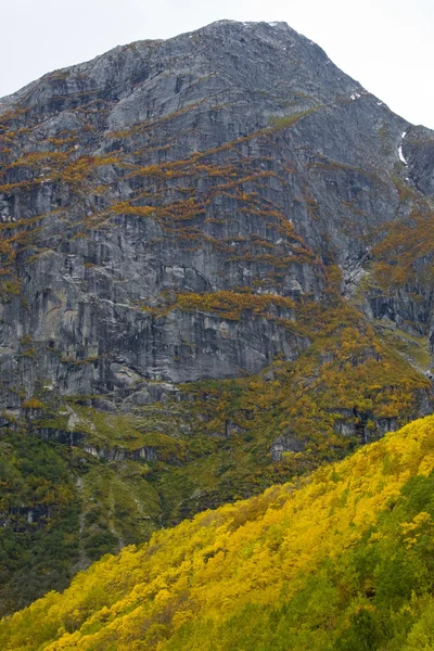 Landschap in de buurt van melkevollbreen gletsjer, de jostedalsbreen nationaal p — Stockfoto
